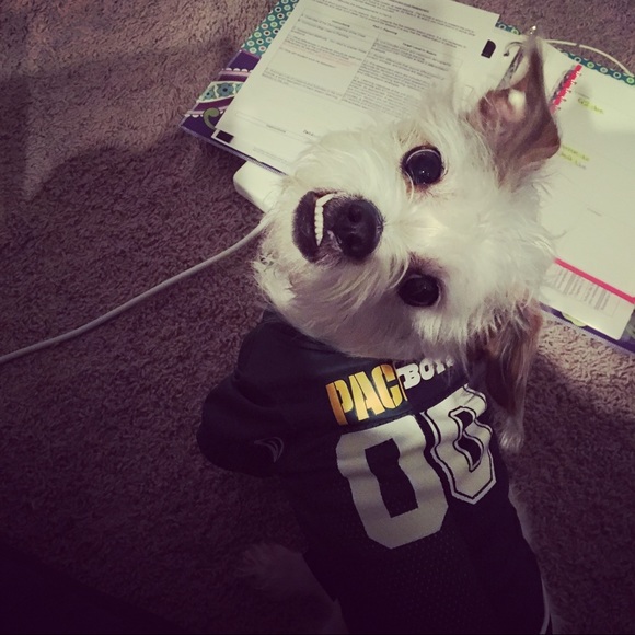 Meet your Posher, Joleen - Picture 9 of 10